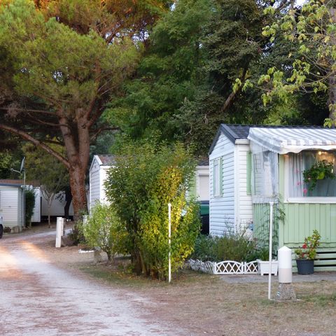 Camping Les Chênes Verts - Camping Charente-Maritime - Image N°3